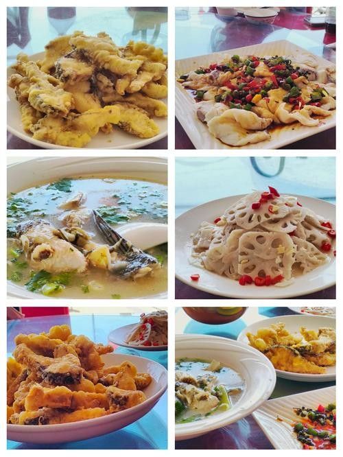 平頂山哪家魚好吃（平頂山哪家魚好吃平頂山哪家魚好吃魚餐館推薦）