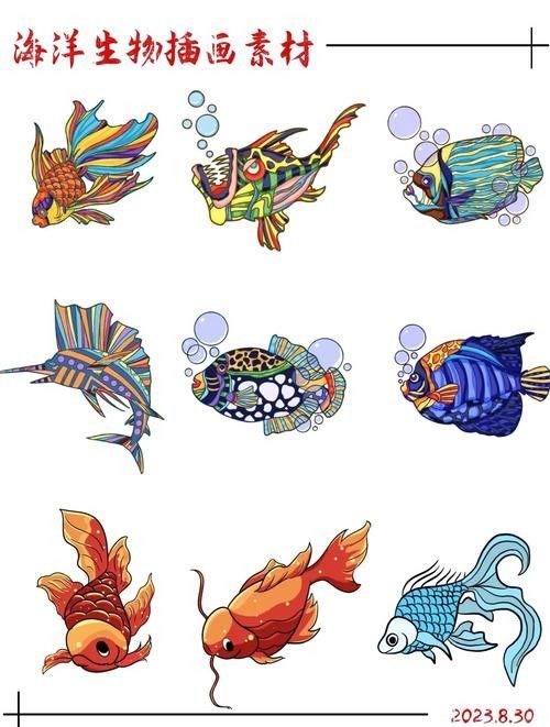 如何找到高清的海里小龍魚圖片