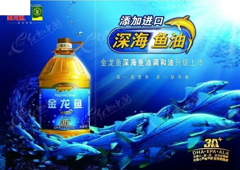 有沒(méi)有金龍魚(yú)科技海報(bào)設(shè)計(jì)模板？