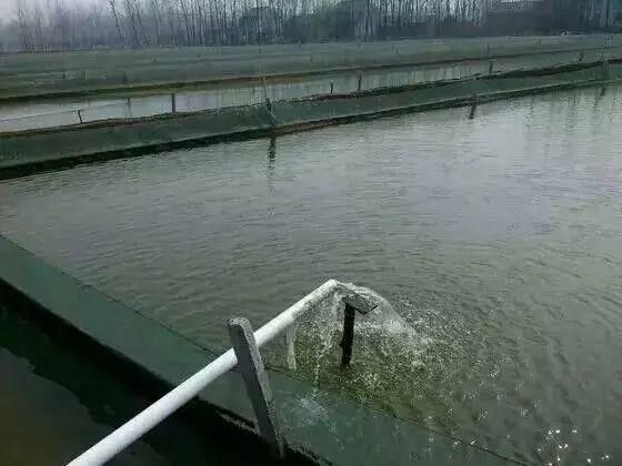 換水時需要加入什么藥物嗎？（換水時需要添加什么藥物嗎）