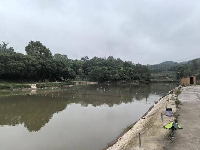 如何聯系到哈爾濱龍魚灣垂釣園