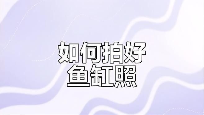 如何設置手機或相機拍攝雷龍魚（手機鏡頭拍攝雷龍魚的建議，雷龍與拍攝技巧全解析）
