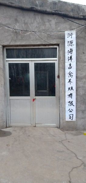 沂源龍魚