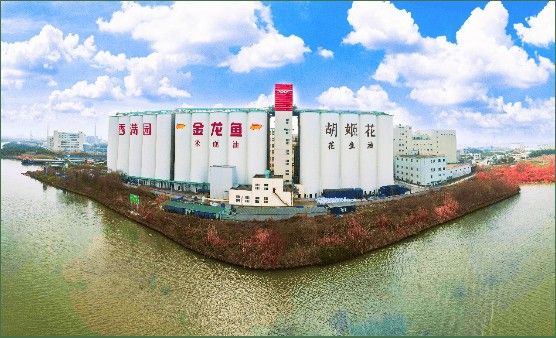 金龍魚如何承擔社會責任？