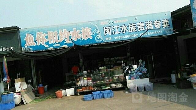 港北哪個水族館龍魚好？祥龍魚場龍魚