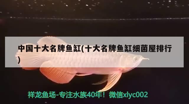 中國(guó)十<strong><mark>大名</mark></strong>牌魚(yú)缸(十<strong><mark>大名</mark></strong>牌魚(yú)缸細(xì)菌屋排行)