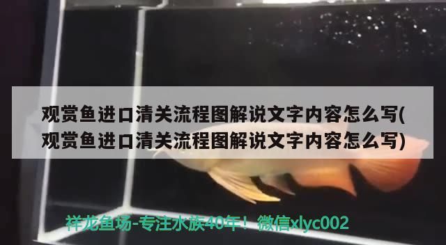玉溪觀賞魚批發市場有哪些？（玉溪水產品批發市場在哪）