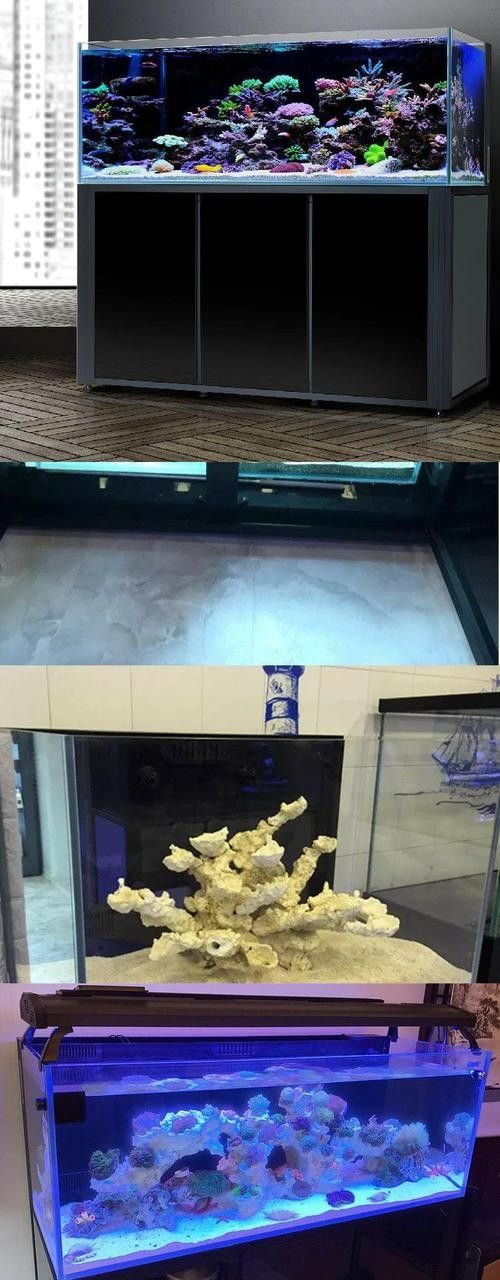 彩蝶龍魚缸的價格是多少（彩蝶龍魚缸價格因型號、尺寸、材質和功能等因素而異）