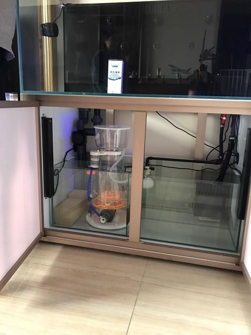 彩蝶龍魚缸的價格是多少（彩蝶龍魚缸價格因型號、尺寸、材質和功能等因素而異）
