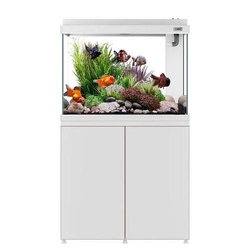 彩蝶龍魚缸的價格是多少（彩蝶龍魚缸價格因型號、尺寸、材質和功能等因素而異）