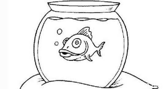 為什么龍魚貴（為什么龍魚貴了就死了）