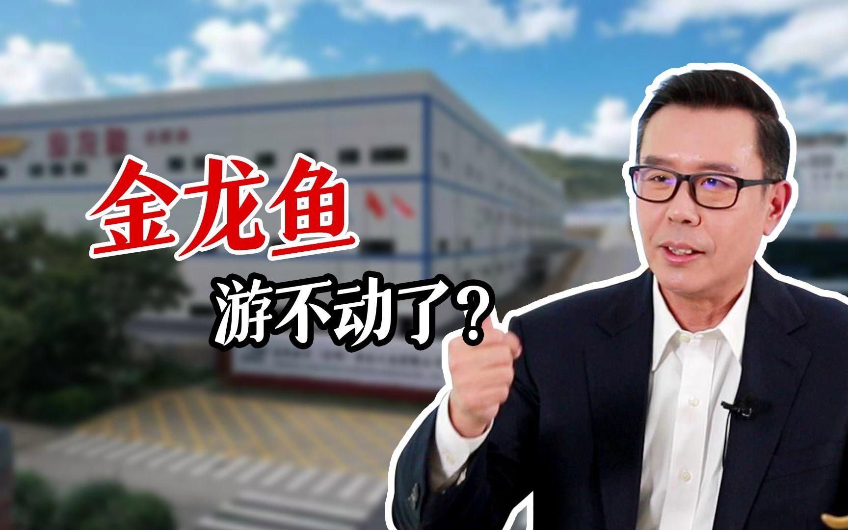 c金龍魚股票股吧
