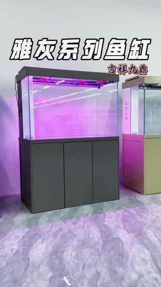 如何聯系天津龍魚批發市場的商家（天津龍魚批發市場的商家如何有效聯系到他們至關重要）