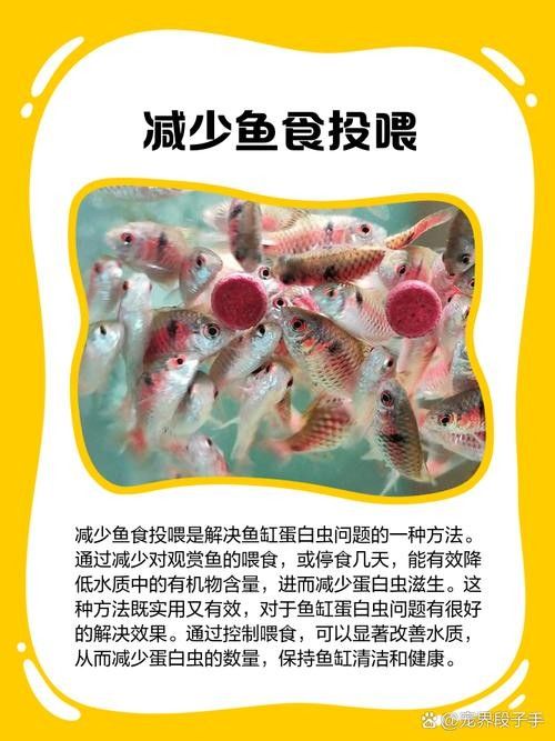 如何預(yù)防龍魚(yú)缸再次出現(xiàn)白色線蟲(chóng)