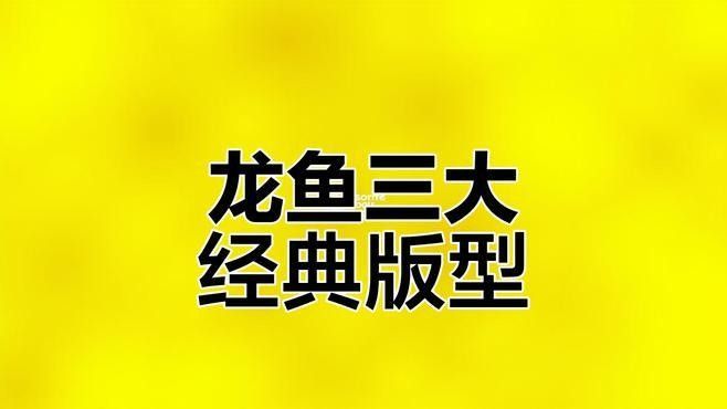 <strong><mark>渝中</mark></strong>哪個水族館龍魚好？祥龍魚場龍魚