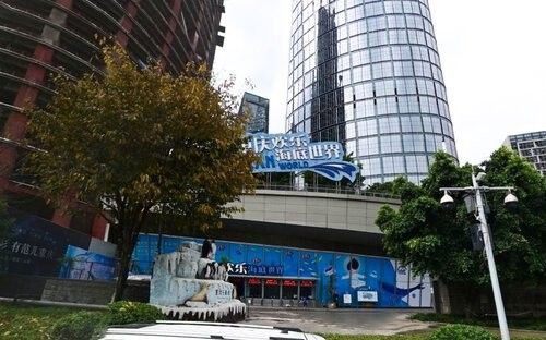 渝中哪個水族館龍魚好？祥龍魚場龍魚 渝中哪個水族館龍魚好？祥龍魚場龍魚 龍魚百科 第3張