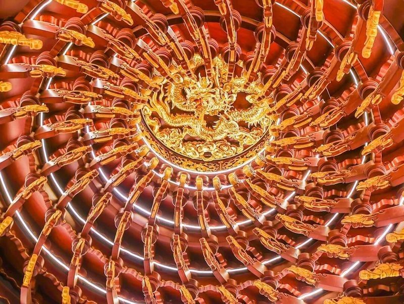 木雕金龍魚有哪些代表作品？（當代實力派專家級根雕藝術家楊敬柏作品展品展品讀詩書畫）