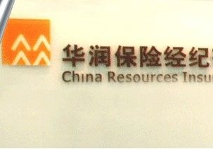 龍魚美容師需要哪些職業(yè)保險(xiǎn)（龍魚美容師可能需要的職業(yè)保險(xiǎn)）