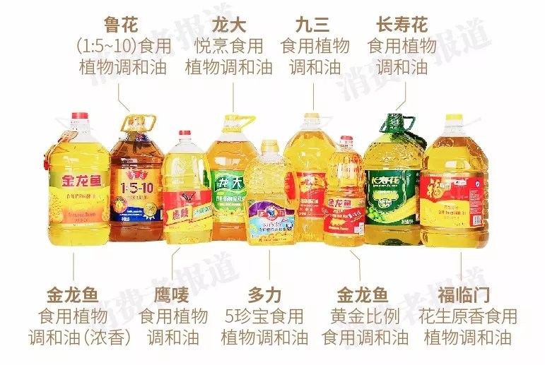 金龍魚和龍大哪個(gè)更健康（金龍魚和龍大哪個(gè)更適合炒菜金龍魚和龍大哪個(gè)更適合炒菜）