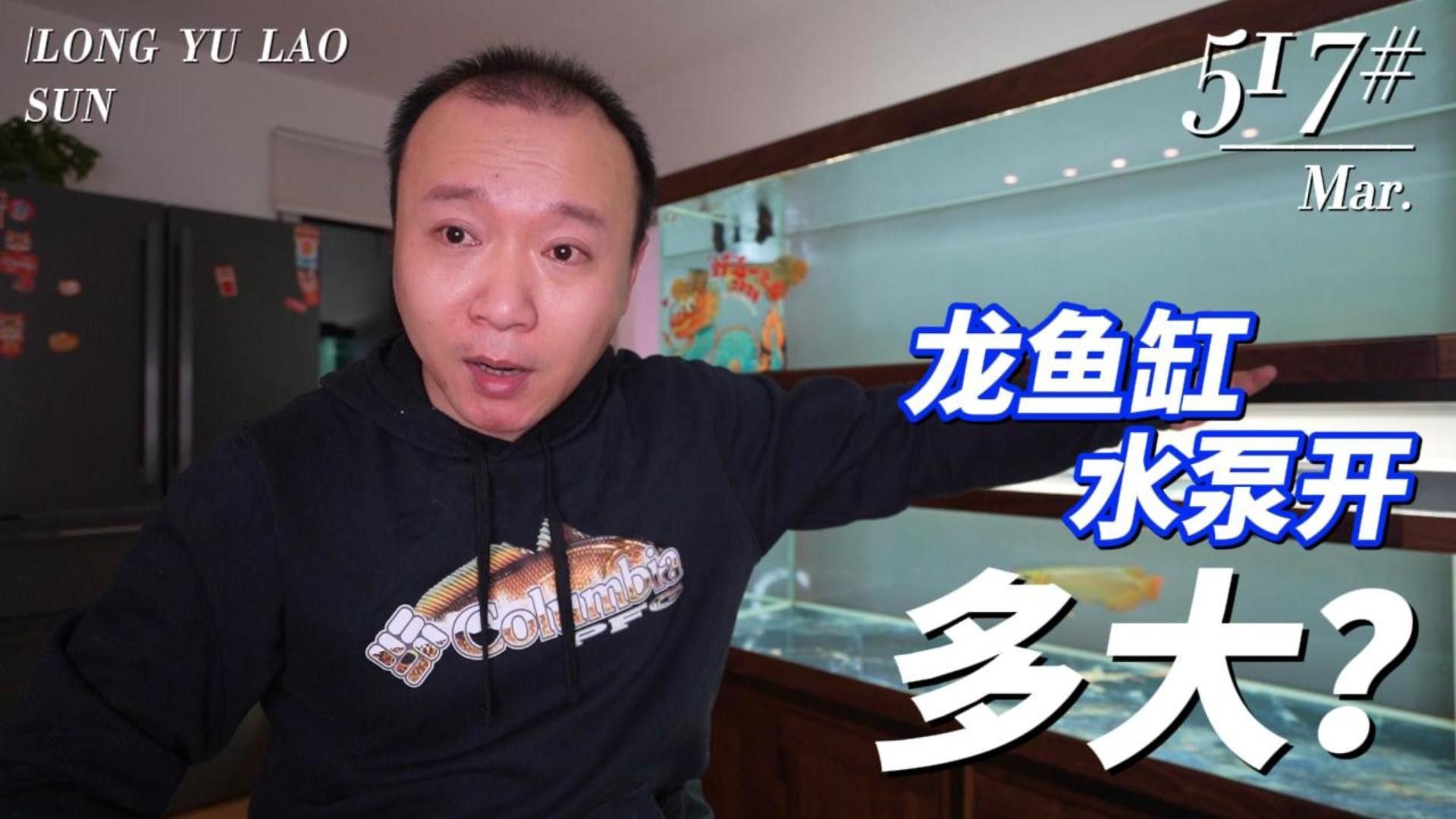 如何選擇適合龍魚(yú)的水泵？（手把手教你判斷魚(yú)缸小型水泵怎么選酒體信息論） 如何選擇適合龍魚(yú)的水泵？（手把手教你判斷魚(yú)缸小型水泵怎么選酒體信息論） 龍魚(yú)百科 第5張