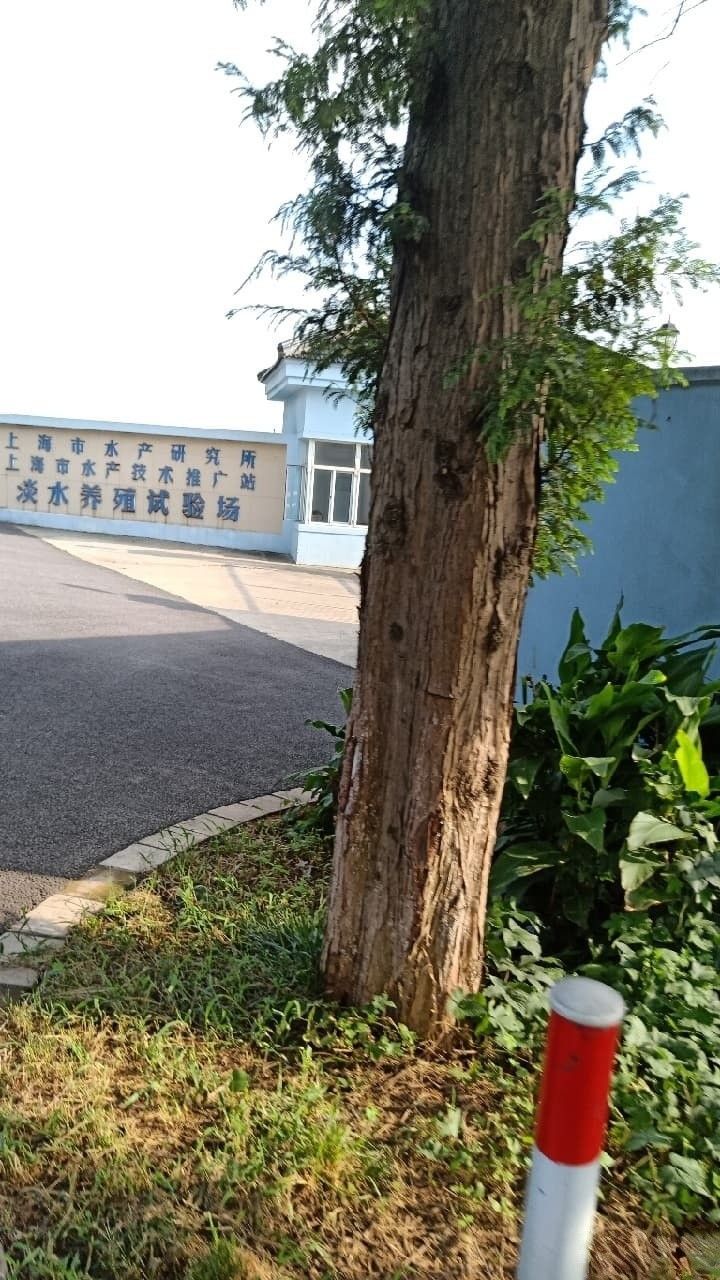 上海市水產研究所的具體聯系方式（上海市水產研究所的聯系方式）