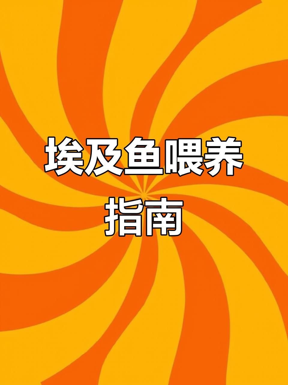 埃及神仙魚喂牛心漢堡好嗎（養埃及神仙魚的四大禁忌）
