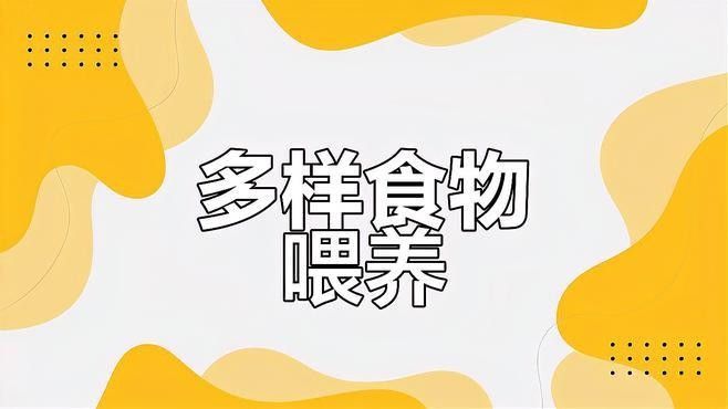 如何布置龍魚和虎頭鯊的混養缸？（養龍魚和虎頭鯊混養需要注意哪些問題）