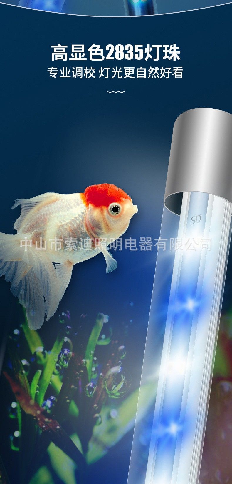 龍魚專用潛水燈哪種功率最合適？（魚專用潛水燈的功率選擇是一個重要的考慮因素以確保提供足夠的光照）