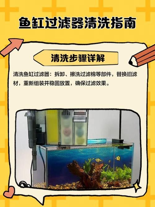 龍魚缸過濾器清洗時需要注意什么（魚缸過濾器如何清洗？） 龍魚缸過濾器清洗時需要注意什么（魚缸過濾器如何清洗？） 龍魚百科 第4張
