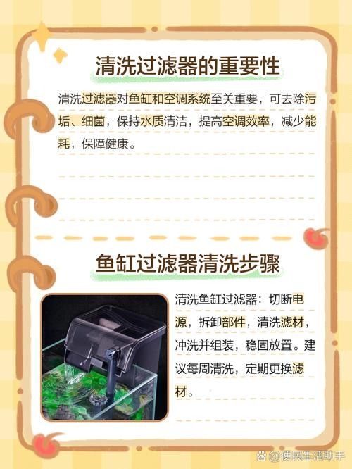 龍魚缸過濾器清洗時需要注意什么（魚缸過濾器如何清洗？） 龍魚缸過濾器清洗時需要注意什么（魚缸過濾器如何清洗？） 龍魚百科 第5張