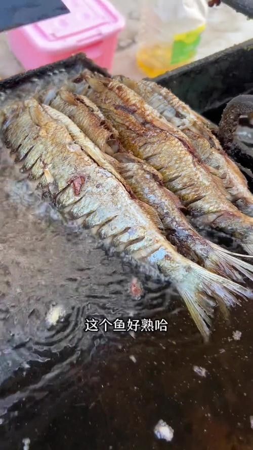 給我一些青龍魚的圖片（關于青龍魚的圖片資源） 給我一些青龍魚的圖片（關于青龍魚的圖片資源） 龍魚百科 第15張