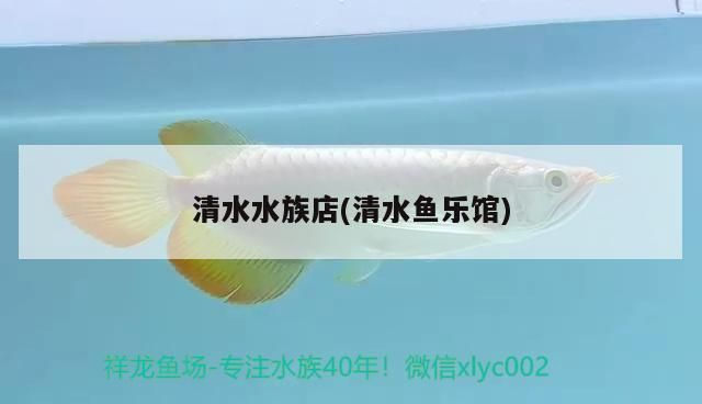 清水水族店(清水魚(yú)樂(lè)館)（水族館水清水族店）