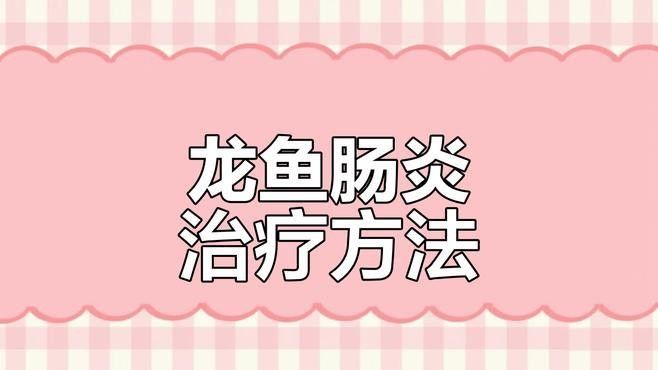 龍魚腸炎復發如何治療（魚腸炎復發的治療需要綜合考慮多種因素）