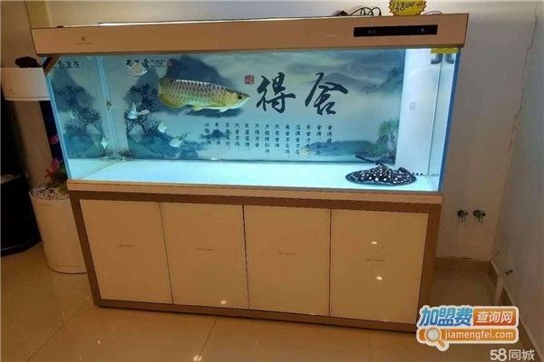 更新兩個星期了400塊請的龍（400塊請的龍）
