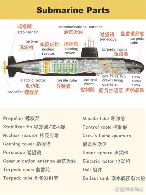 金龍牌潛水 觀賞魚百科 第2張 金龍牌潛水 金龍牌潛水 觀賞魚百科 第2張