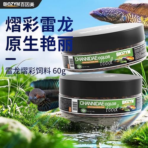 哪種雷龍魚飼料品牌最好？（雷龍魚飼料品牌排行榜）