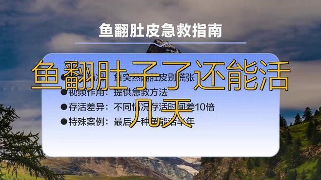 金龍魚翻肚后多久會死（金龍魚翻肚后多久會死金龍魚翻肚子是什么原因引起的）
