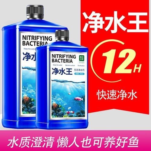 有哪些品牌的凈水劑比較可靠？（凈水劑品牌排行榜京東江蘇凈水劑品牌排行榜京東江蘇凈水劑品牌排行榜）
