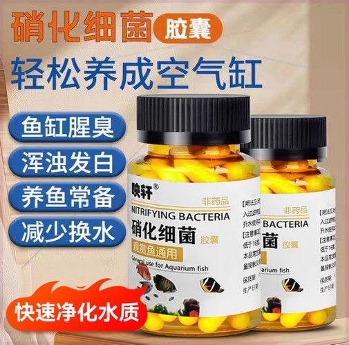有哪些品牌的凈水劑比較可靠？（凈水劑品牌排行榜京東江蘇凈水劑品牌排行榜京東江蘇凈水劑品牌排行榜）