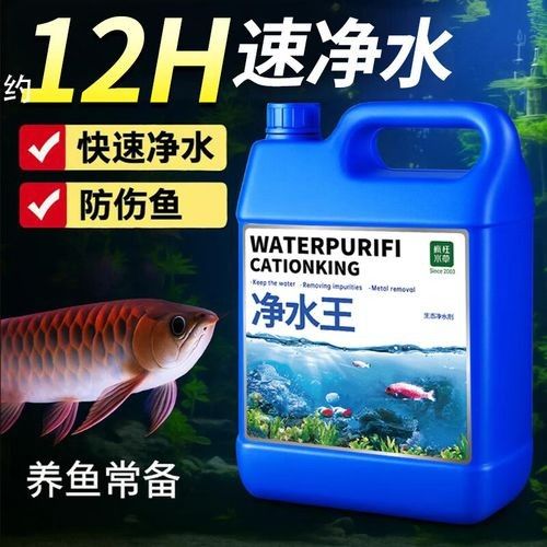 有哪些品牌的凈水劑比較可靠？（凈水劑品牌排行榜京東江蘇凈水劑品牌排行榜京東江蘇凈水劑品牌排行榜）