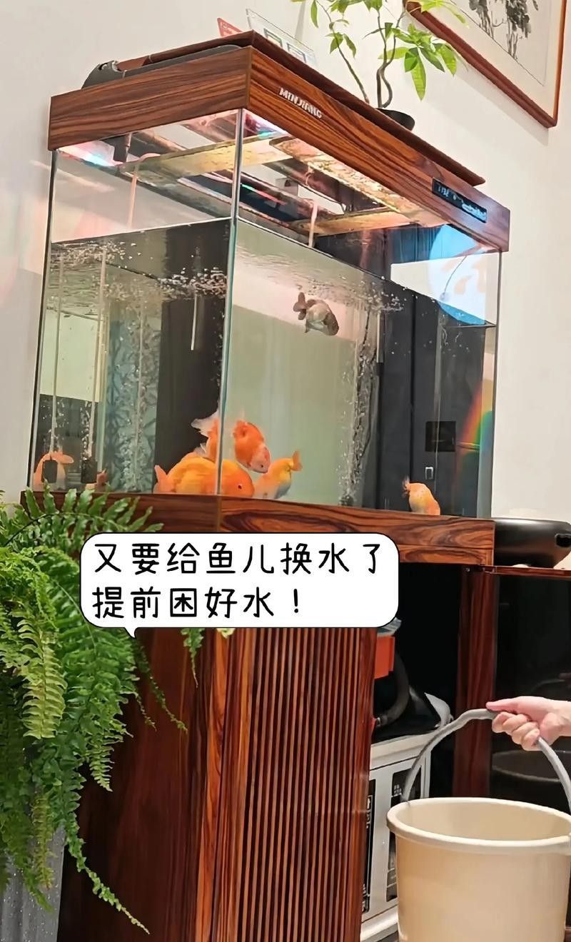 有哪些品牌的凈水劑比較可靠？（凈水劑品牌排行榜京東江蘇凈水劑品牌排行榜京東江蘇凈水劑品牌排行榜）