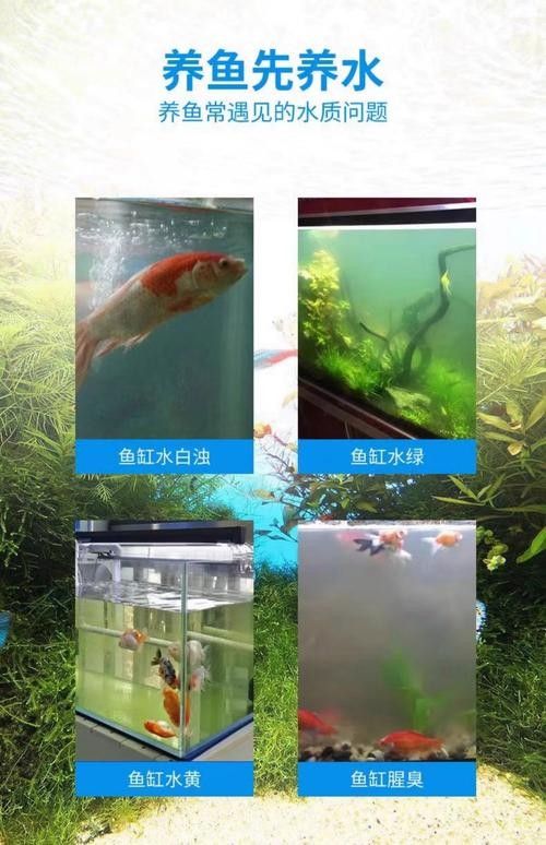 有哪些品牌的凈水劑比較可靠？（凈水劑品牌排行榜京東江蘇凈水劑品牌排行榜京東江蘇凈水劑品牌排行榜）