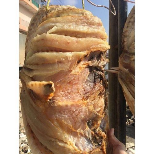 臨高金龍魚是雜牌子嗎（臨高金龍魚品牌是否屬于雜牌子，臨高金龍魚的市場口碑如何） 臨高金龍魚是雜牌子嗎（臨高金龍魚品牌是否屬于雜牌子，臨高金龍魚的市場口碑如何） 觀賞魚百科 第1張