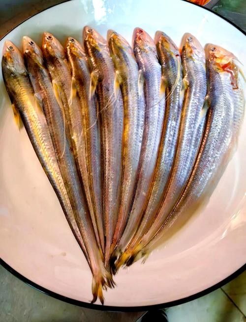 東營(yíng)吃魚最好的地方（東營(yíng)吃魚地點(diǎn)推薦）