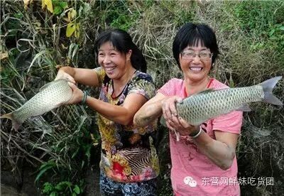 東營(yíng)吃魚最好的地方（東營(yíng)吃魚地點(diǎn)推薦）