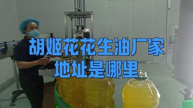 金龍魚胡姬花工廠（“金龍魚”和“胡姬花”工廠地址在哪里oo幻嶼攻略）