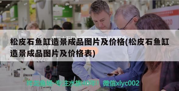 松皮石魚缸造景成品圖片及價格(松皮石魚缸造景成品圖片及價格表)（松皮石魚缸造景成品價格）