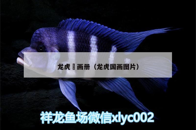 龍虎犳畫(huà)冊(cè)（龍虎國(guó)畫(huà)圖片）