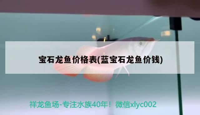 寶石龍魚價格表(藍寶石龍魚價錢)（寶石龍魚價格表）