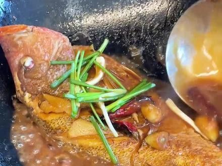 海龍魚紅燒多久能熟？ 海龍魚紅燒多久能熟？ 龍魚百科 第3張
